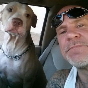 Meet your Posher, Steve